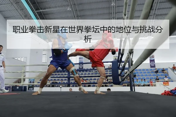 职业拳击新星在世界拳坛中的地位与挑战分析