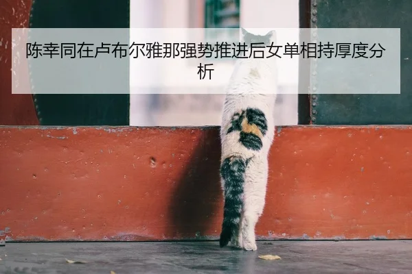 陈幸同在卢布尔雅那强势推进后女单相持厚度分析