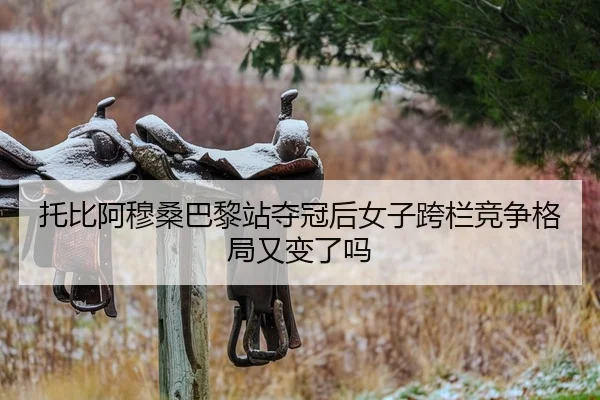 tuo-bi-a-mu-sang-ba-li-zhan-duo-guan-hou-nv-zi-kua-lan-jing-zheng-ge-ju-you-bian-le-ma-2-183.jpg